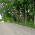 Thumbnail 29